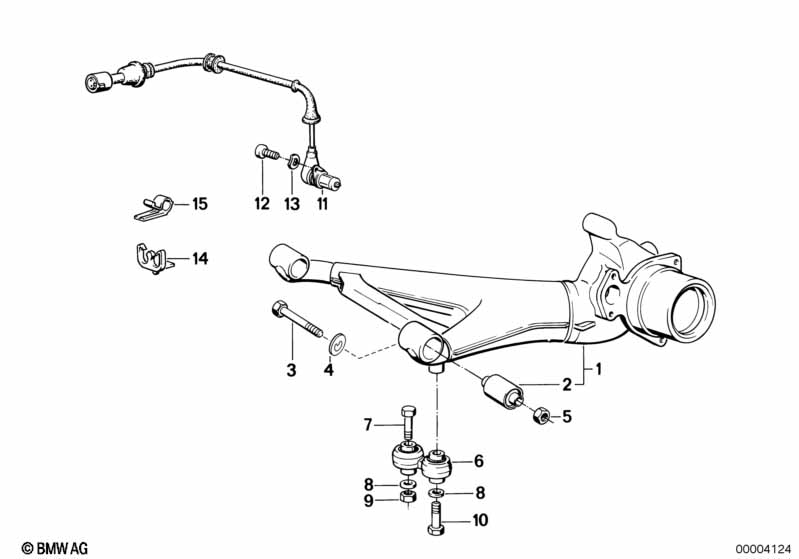 Rear axle support/wheel suspension