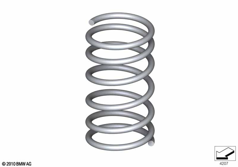 Rear coil spring