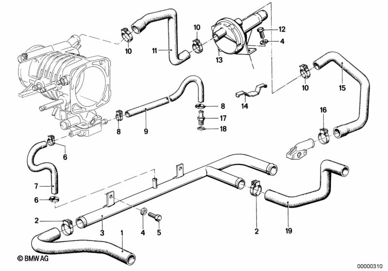 Cooling System Water Hoses
