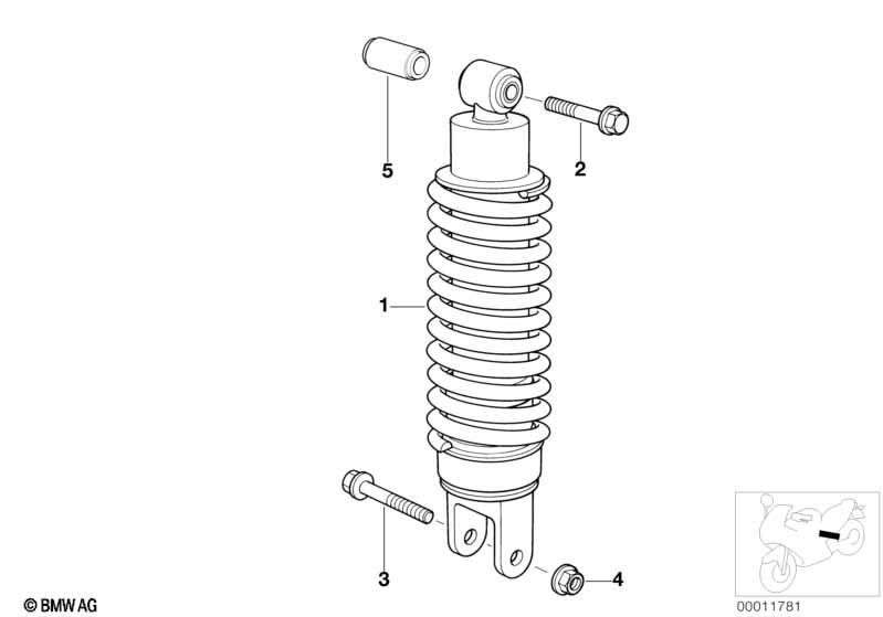 Federbein hinten