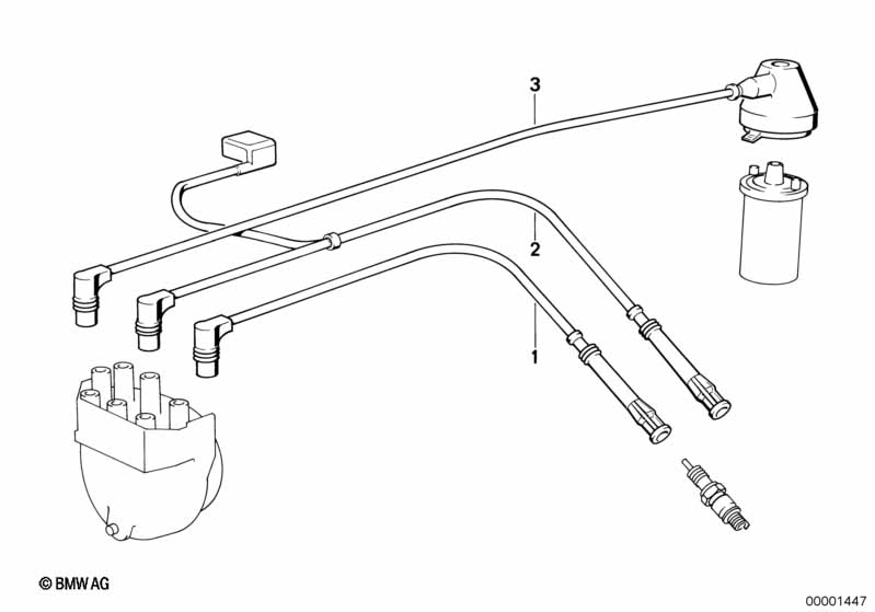 Ignition wire