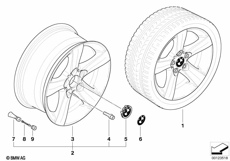 BMW LA wheel, star spoke 119