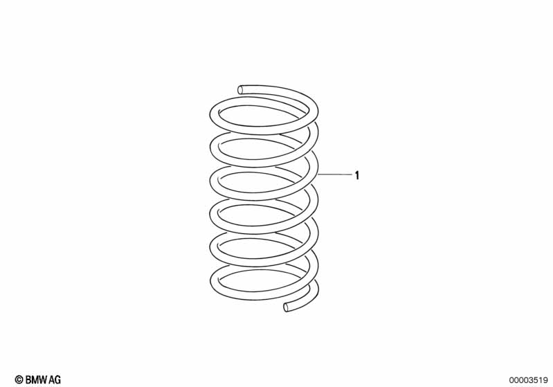 Front coil spring