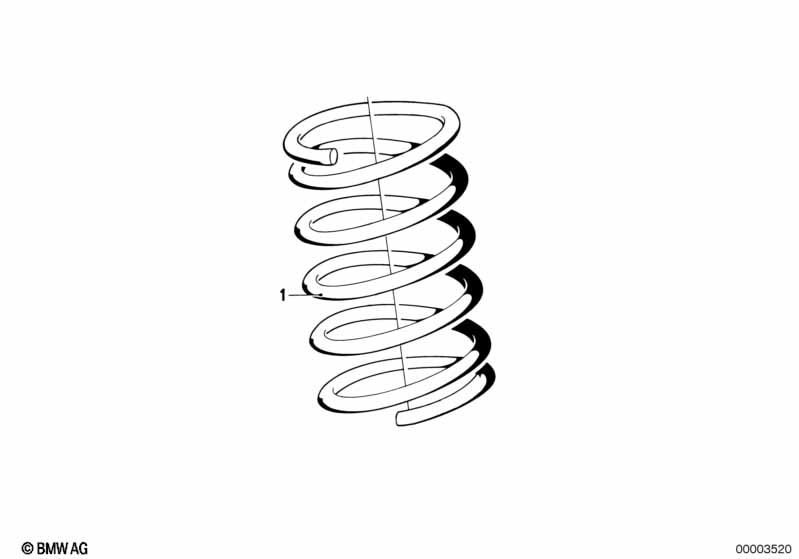 Front coil spring