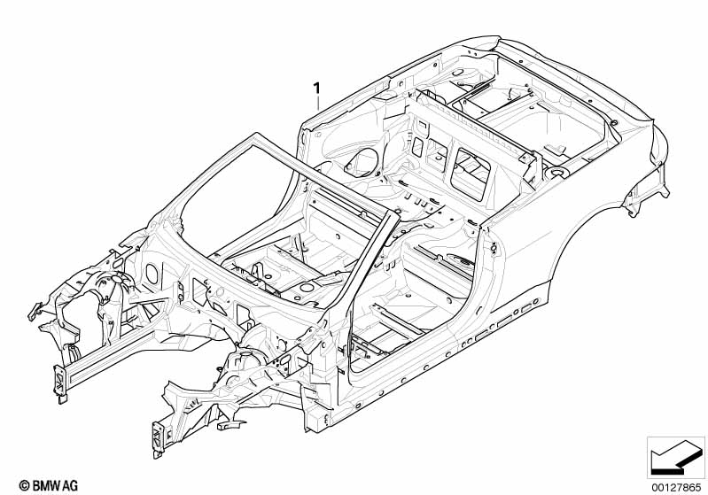Body skeleton
