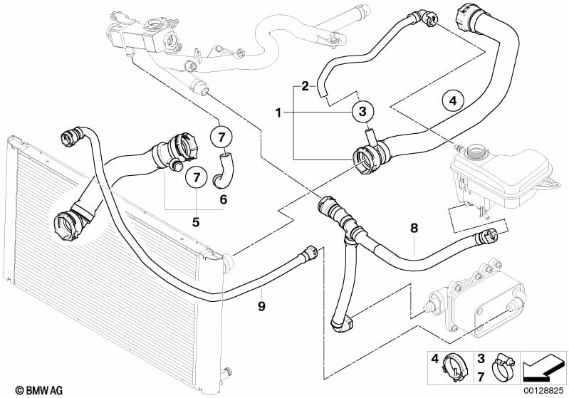 Cooling System Water Hoses