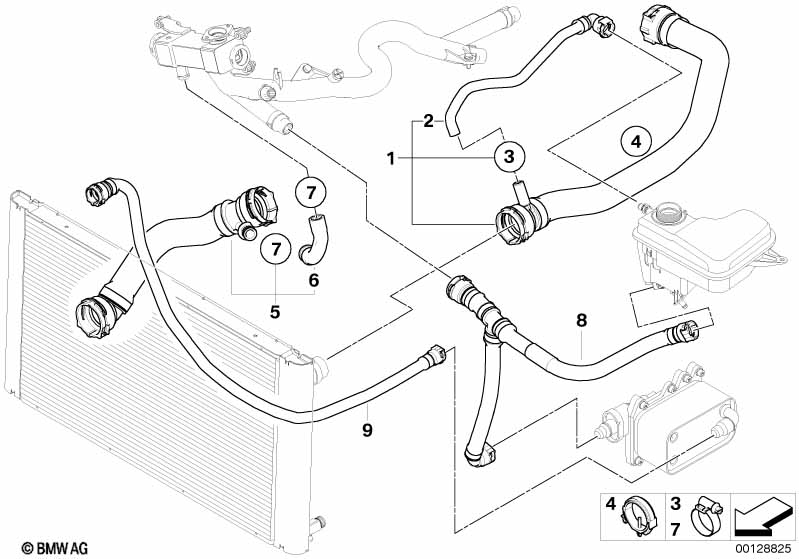 Cooling System Water Hoses
