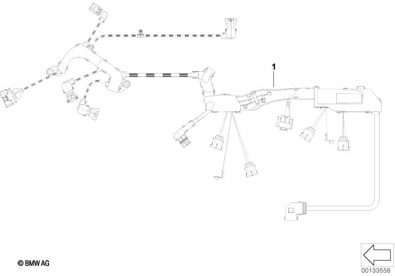 wiring harness, engine ignition module