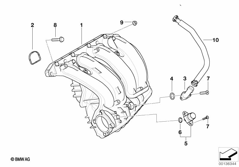 Genuine BMW 11617523773 E46 E90 E87 O-Ring (Inc. 316ti, 320si & 316i) | ML Performance UK Car Parts