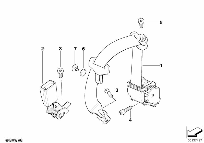 Safety belt rear
