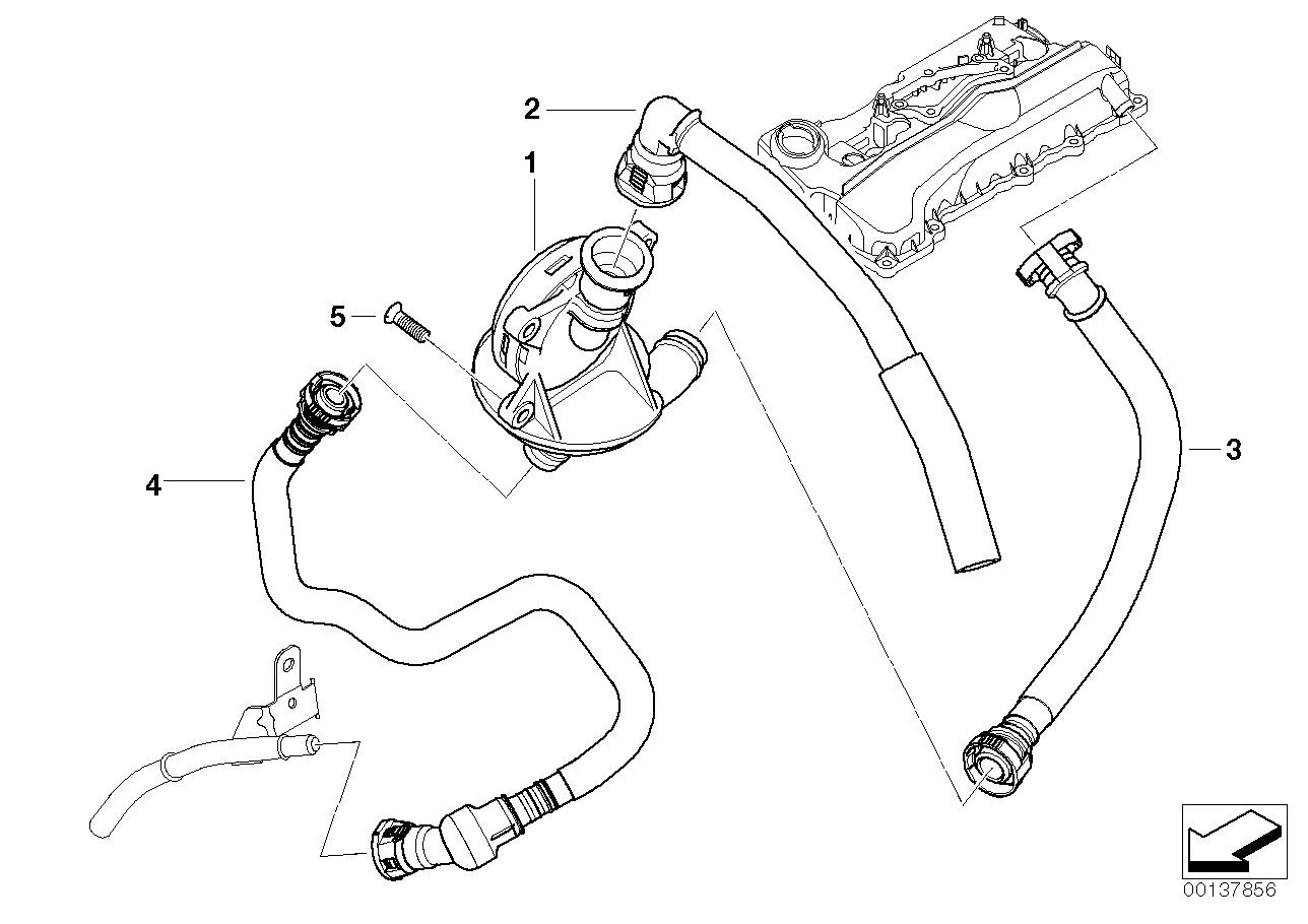 Genuine BMW 11157503524 E85 E91 E83 Vent Hose (Inc. X3 2.0i, 320i & 120i) | ML Performance UK Car Parts