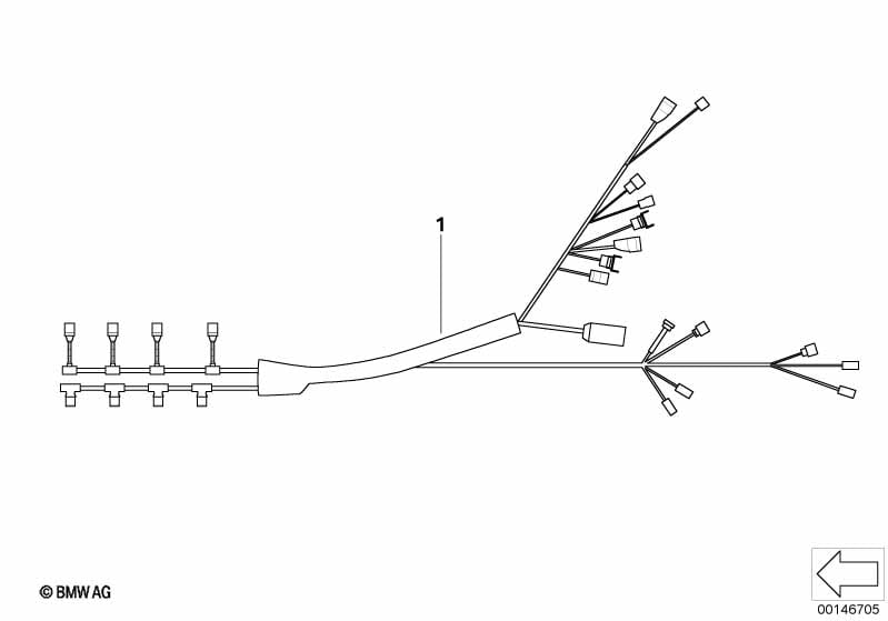 Wiring harness injection valve/ignition