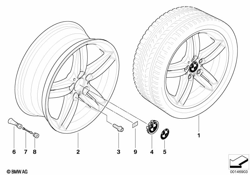 BMW alloy wheel, M double spoke 208