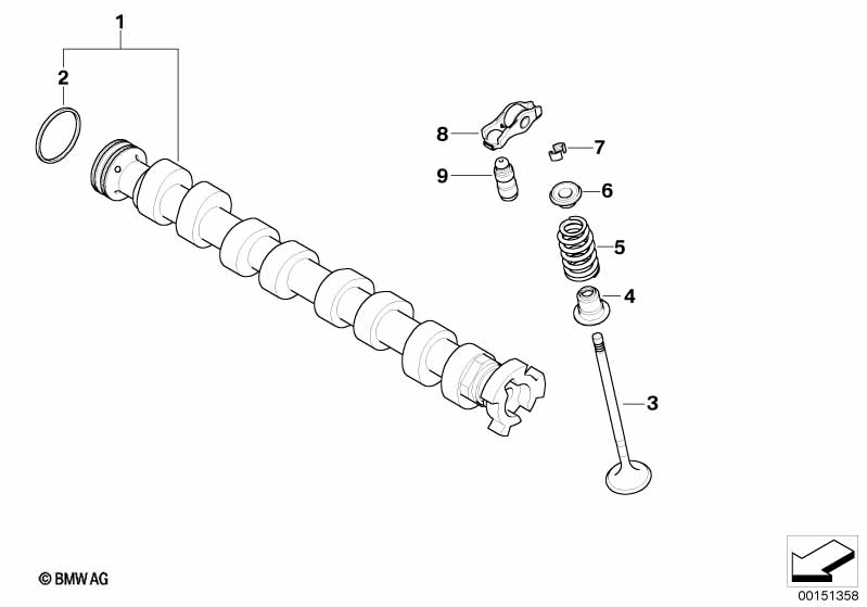 Genuine BMW 11347533885 Exhaust Valve 25,0/4,96mm (Inc. One Eco 55kW, Cooper & One 55kW) | ML Performance UK Car Parts