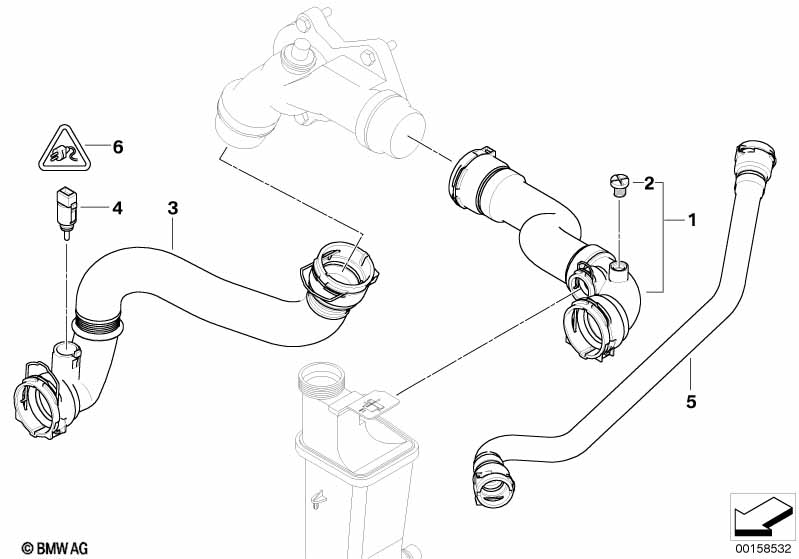 Cooling System Water Hoses
