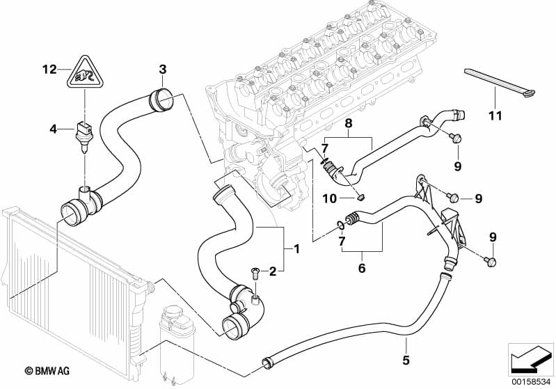 Cooling System Water Hoses