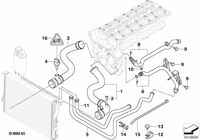 Cooling System Water Hoses