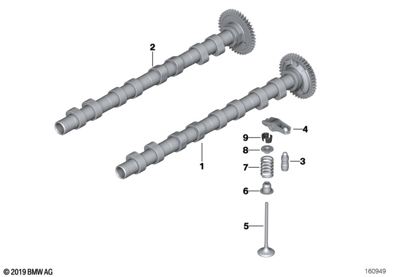Timing and valve train-camshaft