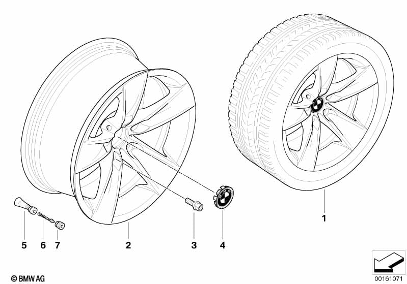 BMW LA wheel, star spoke 246