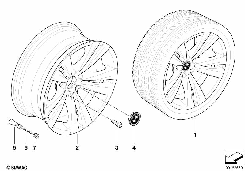 BMW LA wheel, double spoke 266
