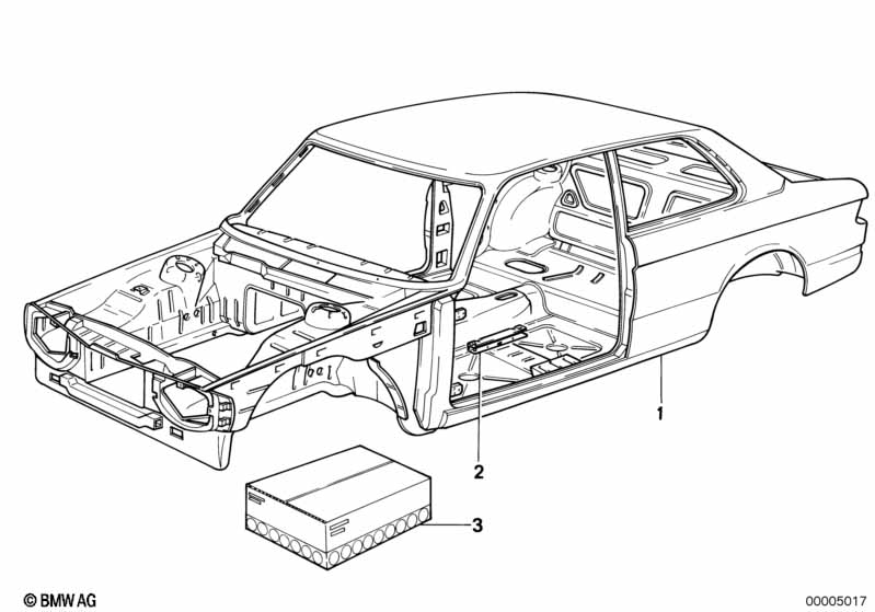 Body skeleton
