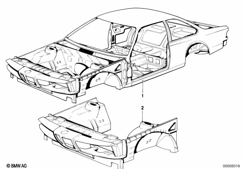 Body skeleton