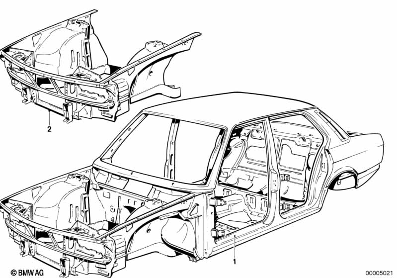 Body skeleton