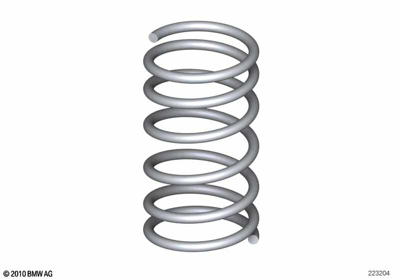Rear coil spring