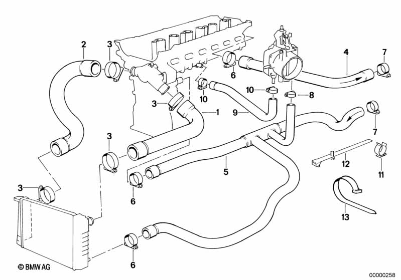 Cooling System Water Hoses