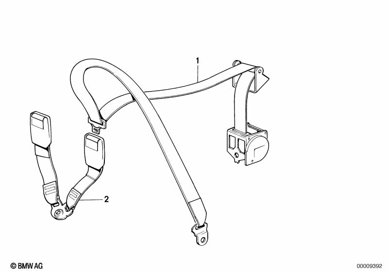 Safety belt rear