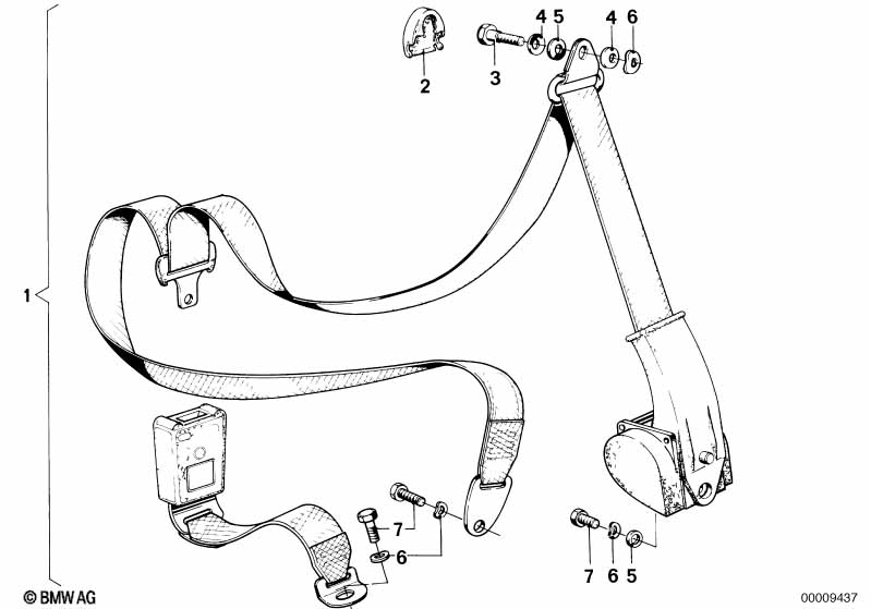 Safety belt rear
