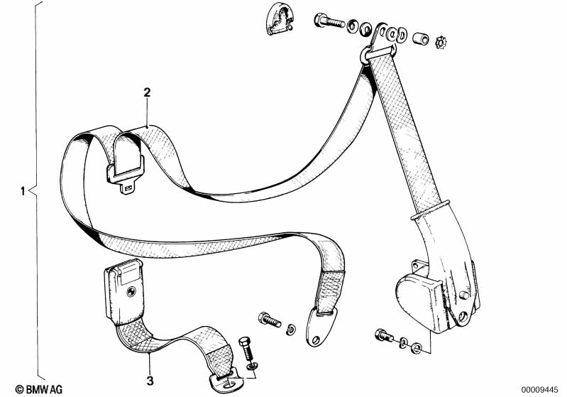 Safety belt rear