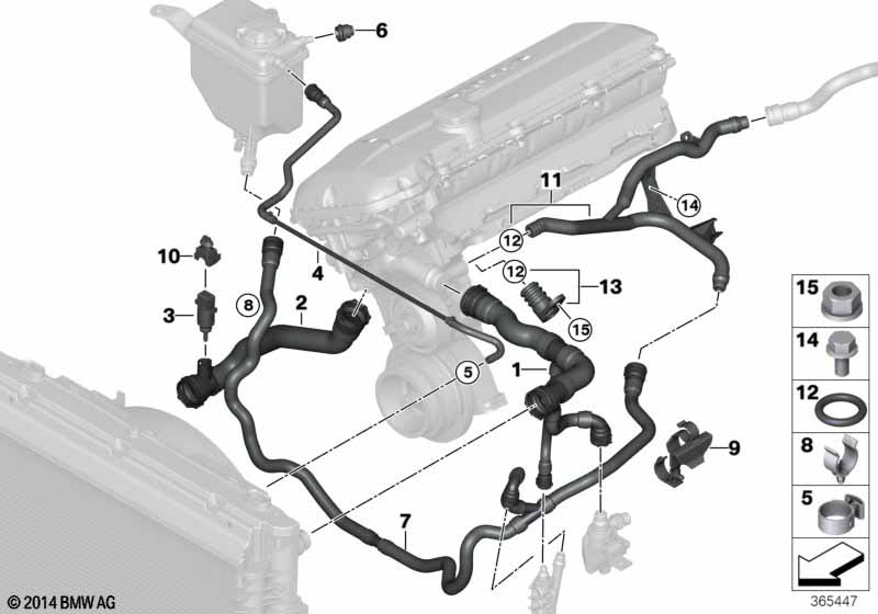 Cooling system coolant hoses