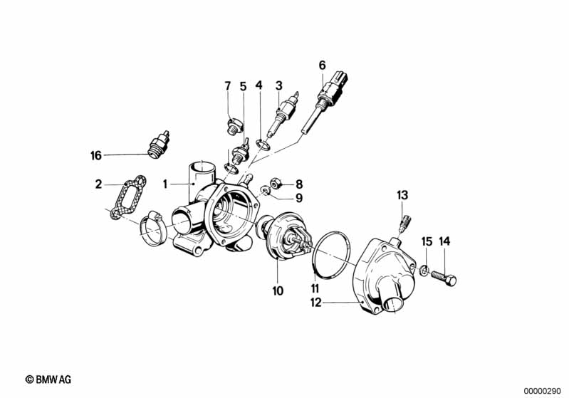 Cooling system-thermostat/water hoses