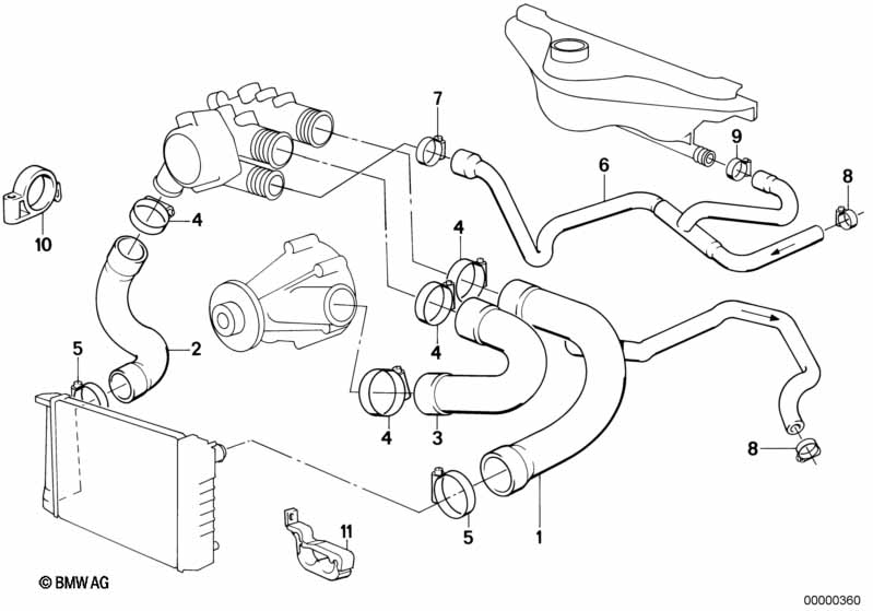 Cooling System Water Hoses