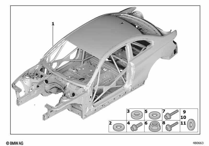 Body skeleton