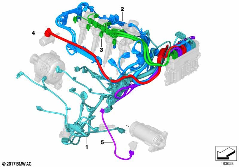 Engine wiring harness