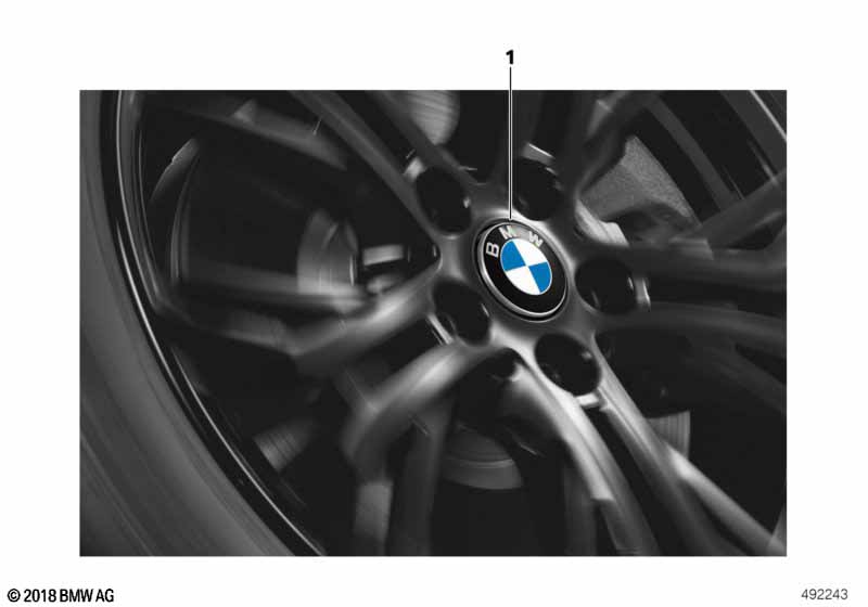 Hub cap fixed