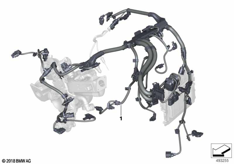 Engine wiring harness