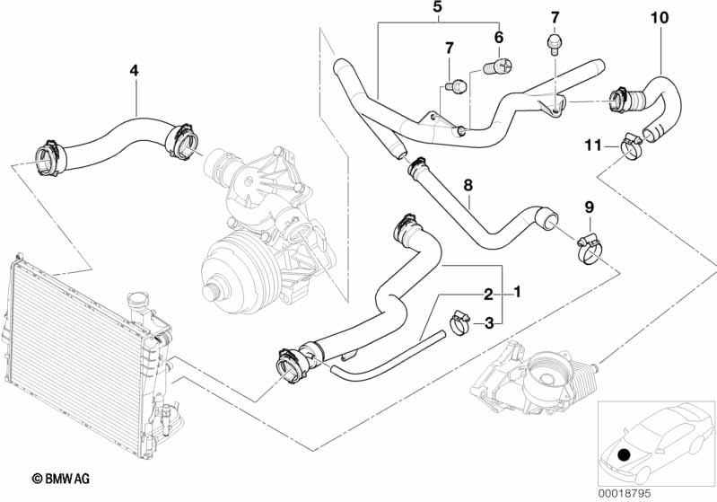 Cooling System Water Hoses