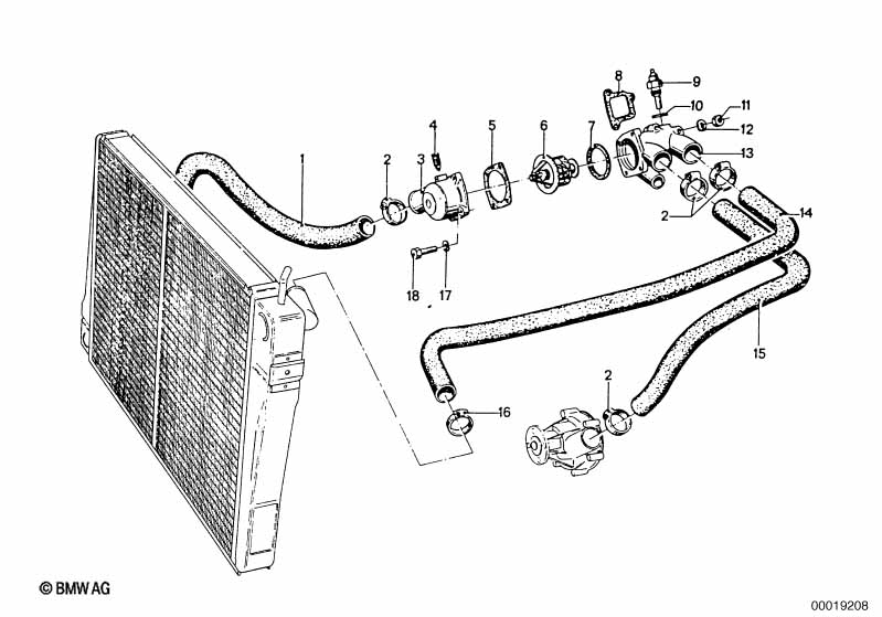 Genuine BMW 11531251520 Hose (Inc. 3.0SBav, 3.0S & 3.0CS) | ML Performance UK Car Parts