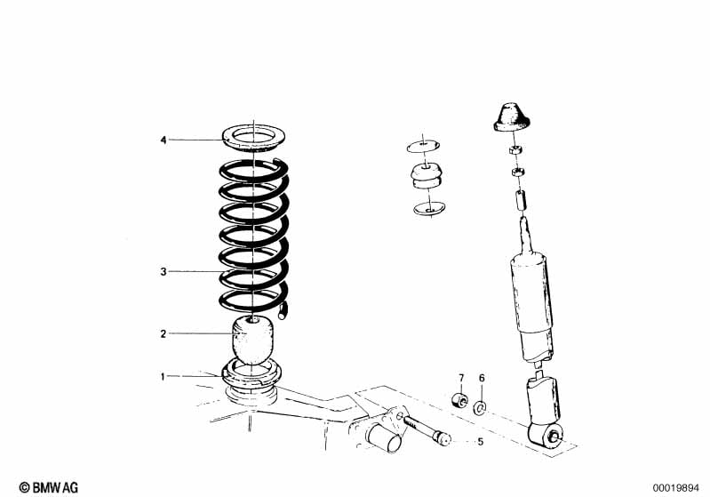 Rear coil spring