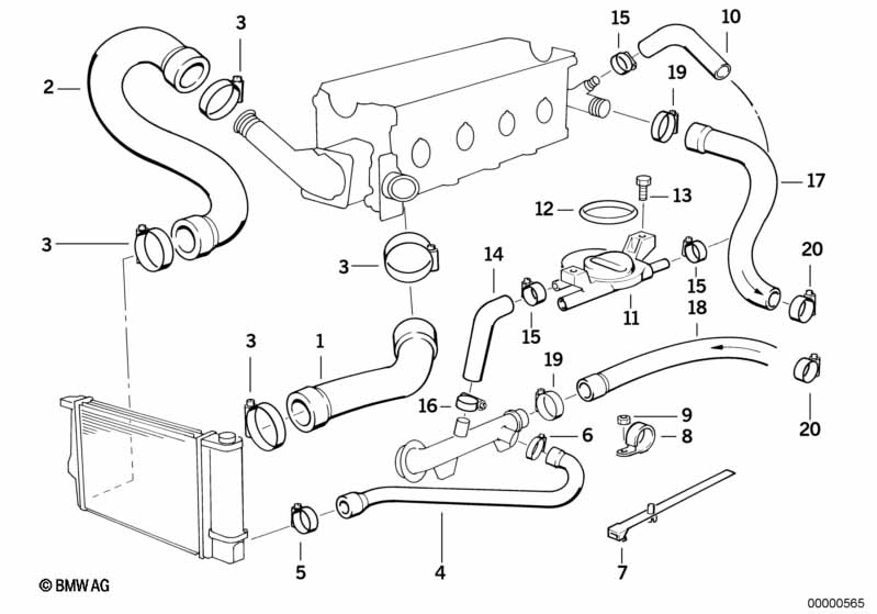 Cooling System Water Hoses