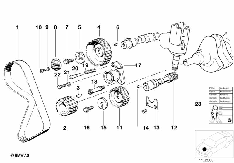 Timing and valve train-tooth belt