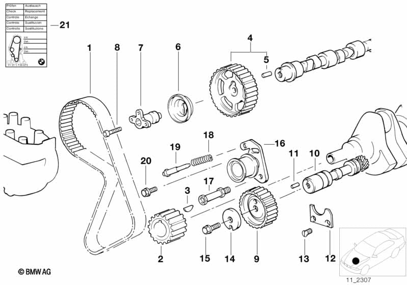 Timing and valve train-tooth belt
