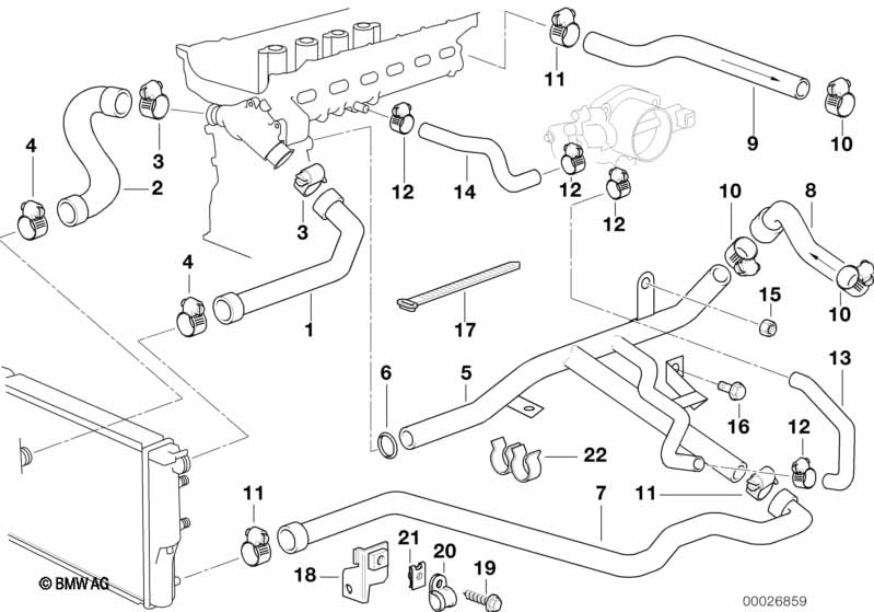 Cooling System Water Hoses