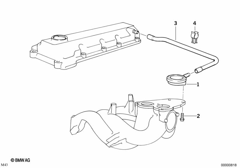 Genuine BMW 11151739557 E36 E34 Vent Hose (Inc. 316i 1.6, 518i & 316i) | ML Performance UK Car Parts
