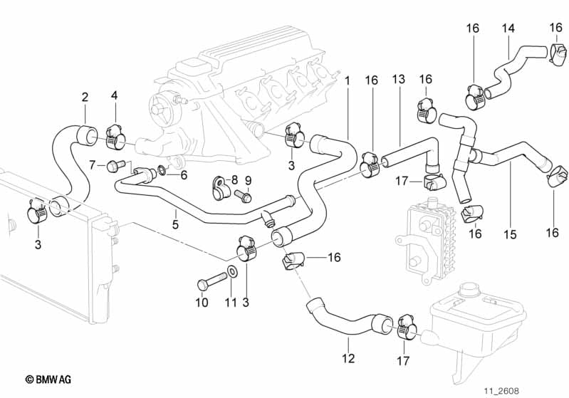 Cooling System Water Hoses