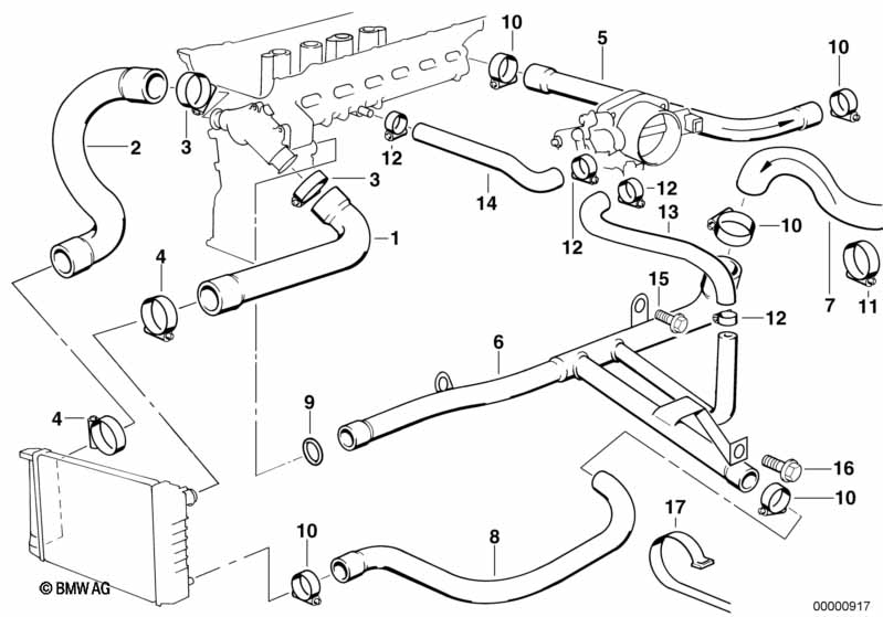 Cooling System Water Hoses