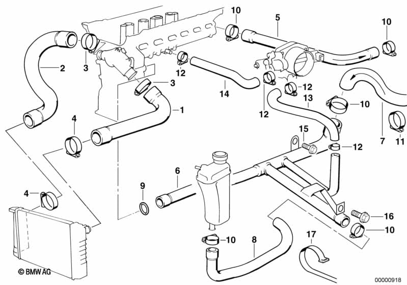 Cooling System Water Hoses